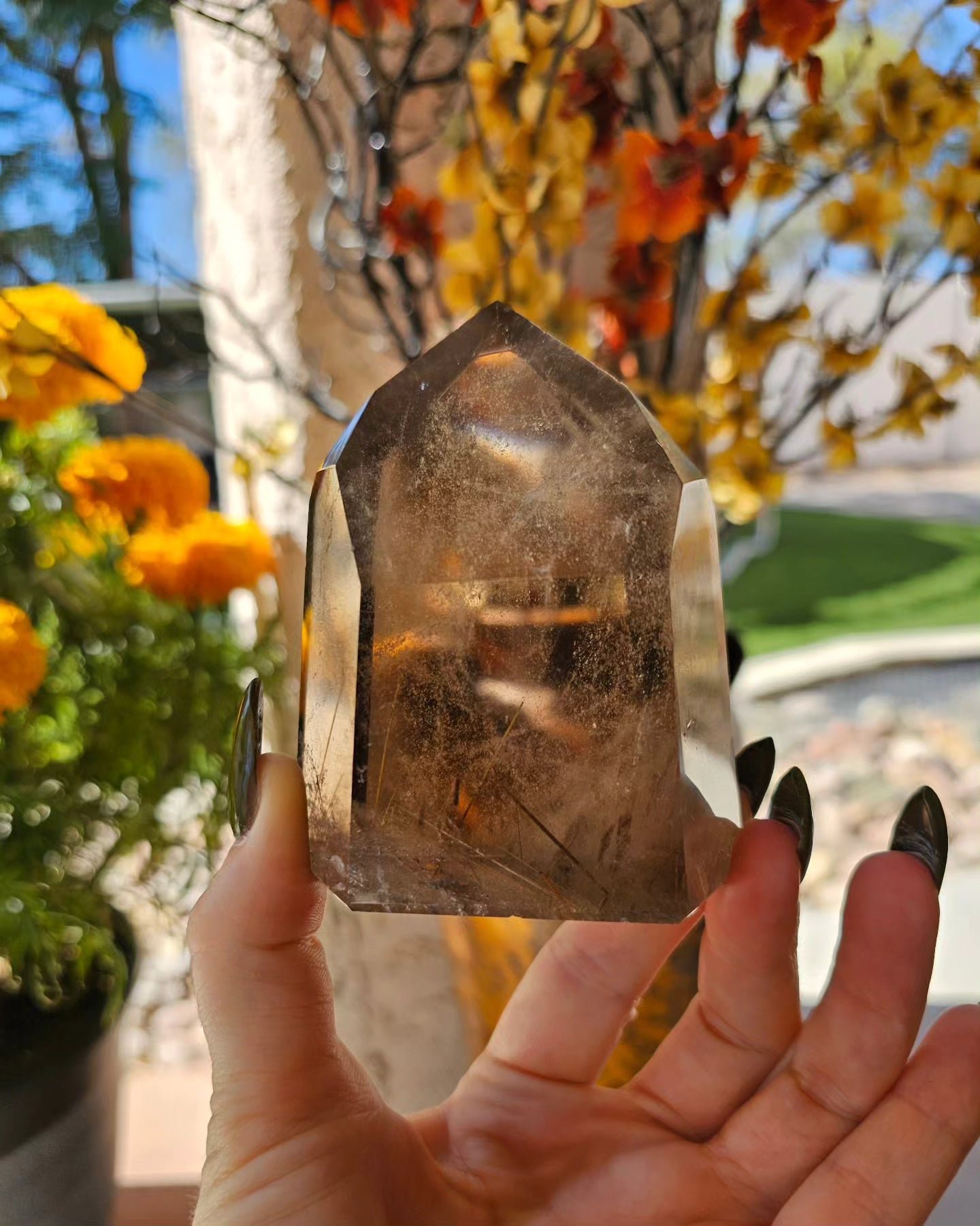 Smokey Rutile Quartz