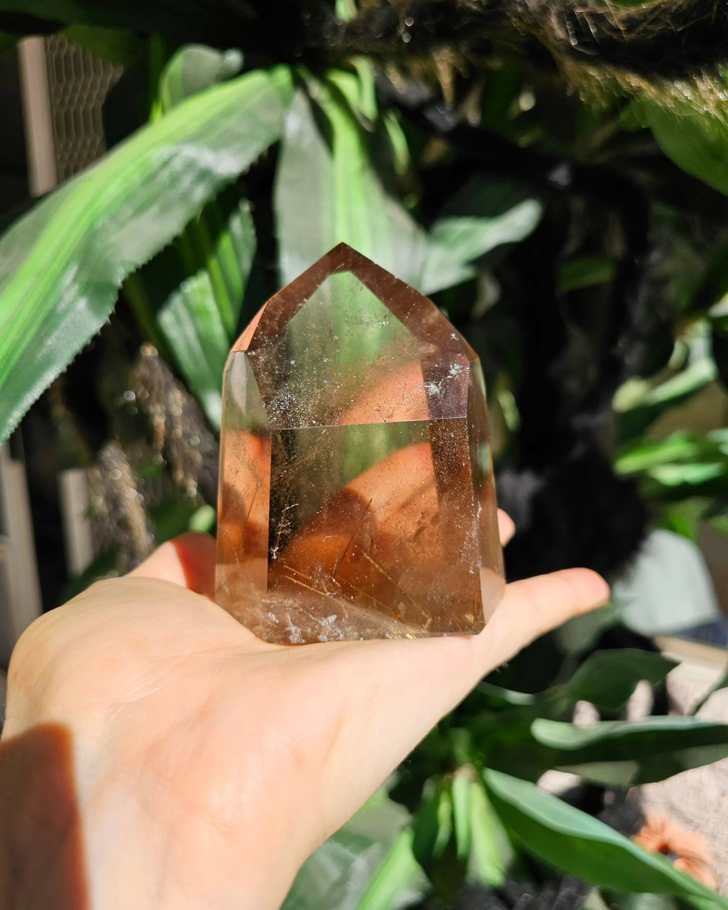 Smokey Rutile Quartz
