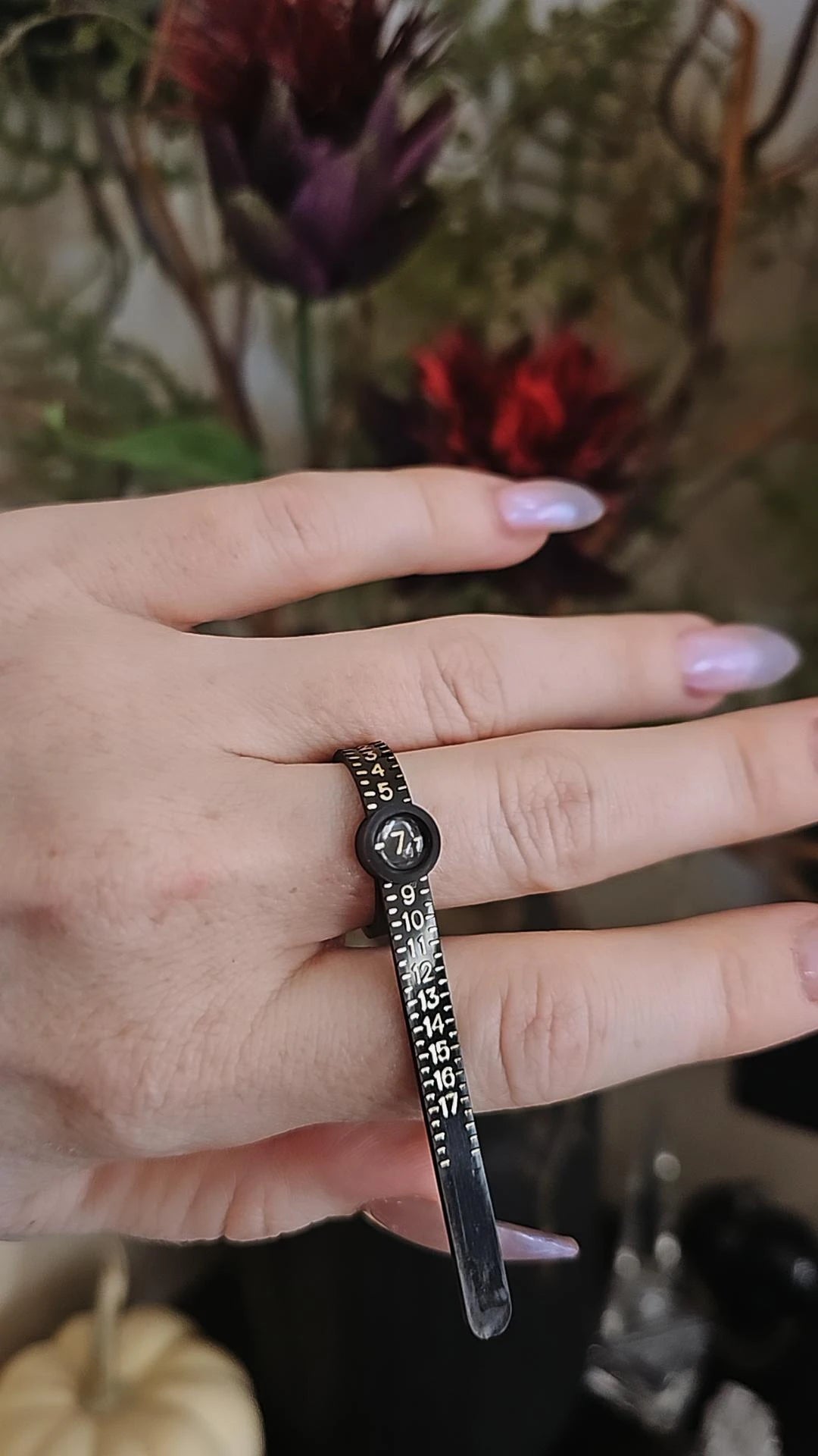Ring sizer